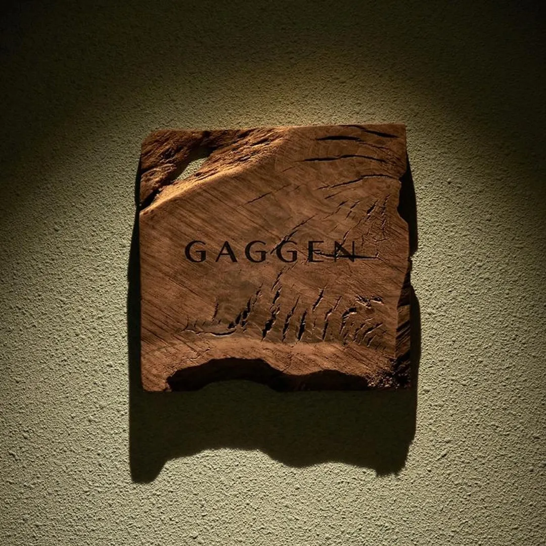 Gagen, photo 8 of 8