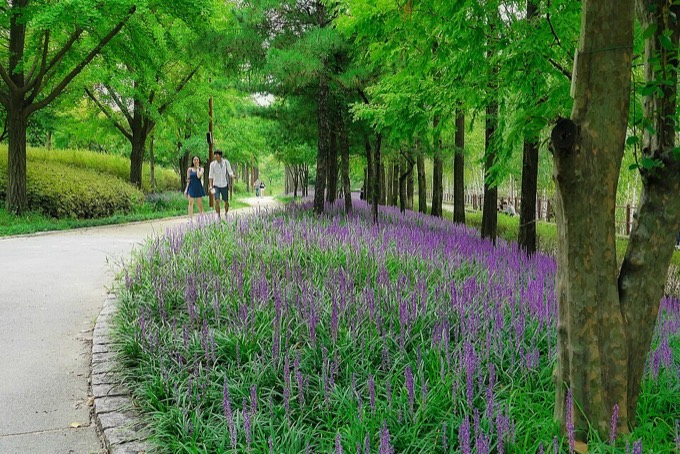 Seonyudo Park