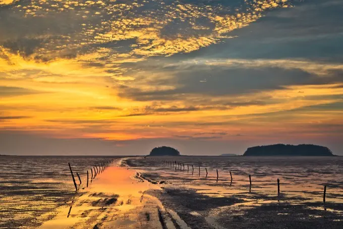 Getbol, Tidal Flats in Korea