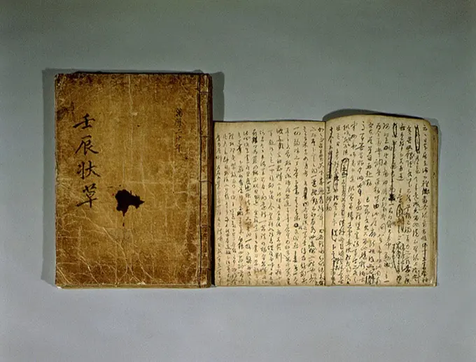 Nanjung Ilgi: War Diary of Admiral Yi Sun-sin