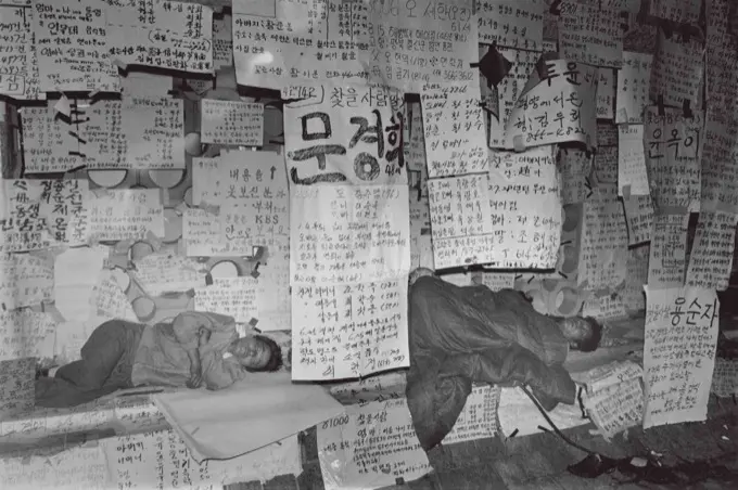 The Archives of KBS Special Live Broadcast "Finding Dispersed Families"